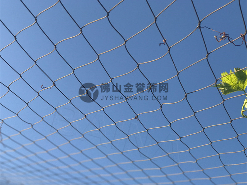 金譽(yù)裝飾網(wǎng)