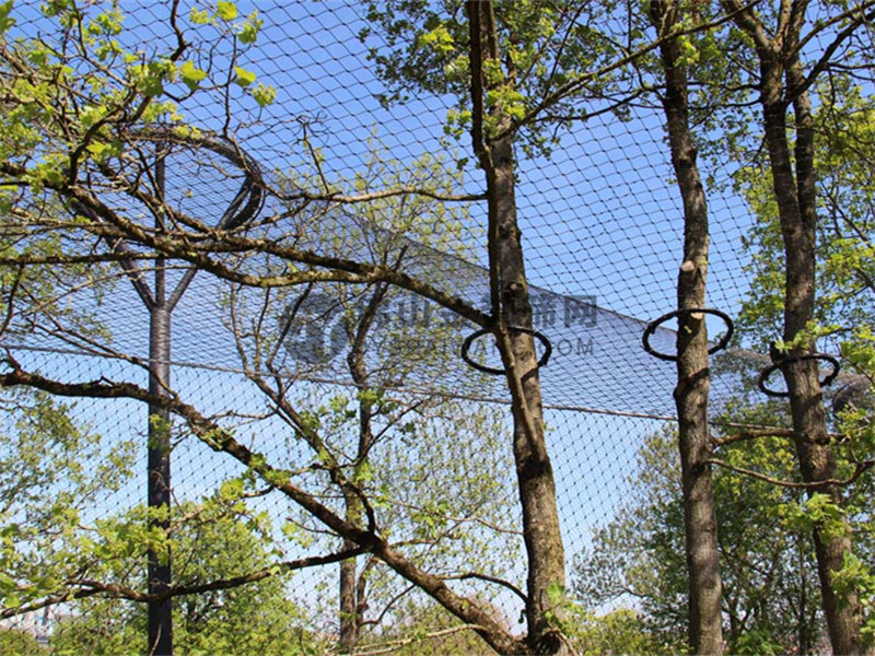 金譽(yù)裝飾網(wǎng)